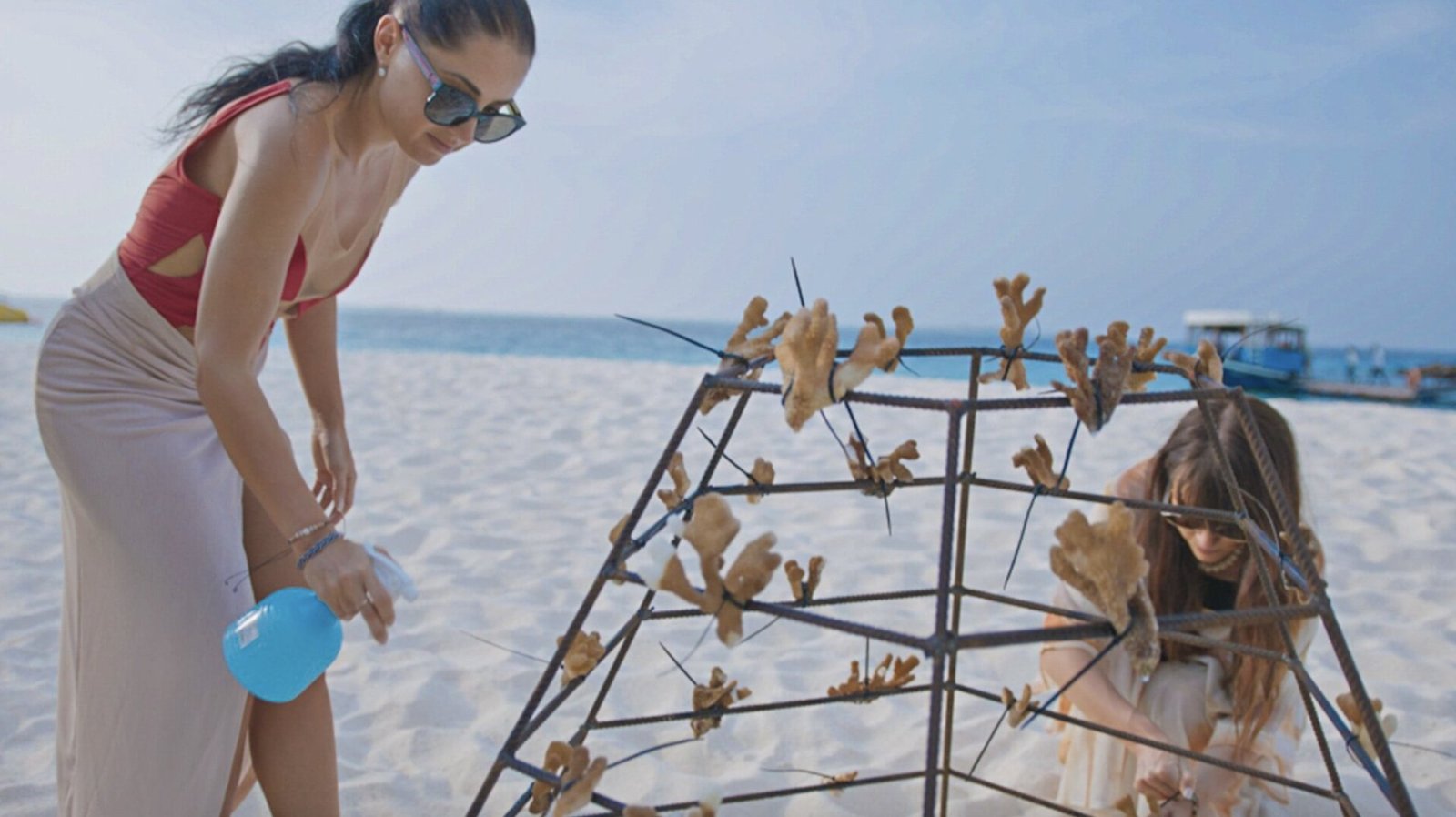 Coral Restoration & Replanting
